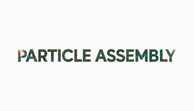 06 PARTICLE ASSEMBLY: assemblaggio di particelle