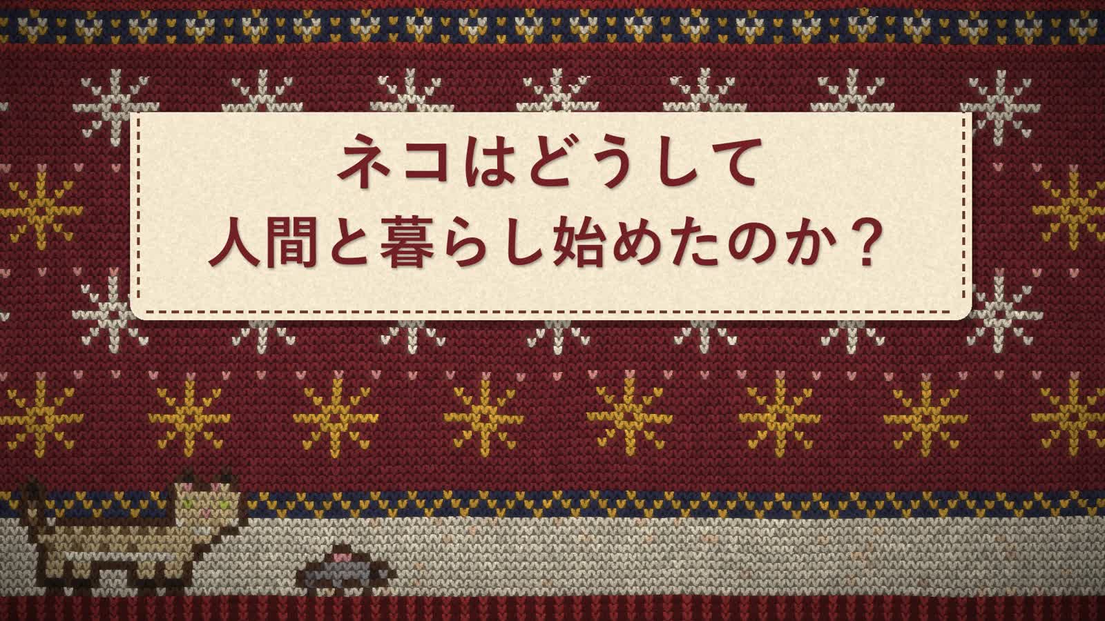 Opus 5.5 Animation PoC:38:Knit